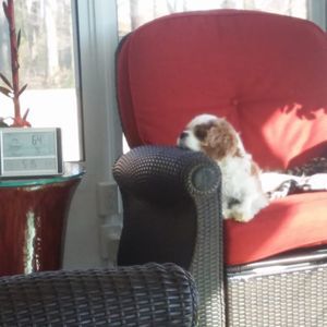 Meet your Posher, Jim